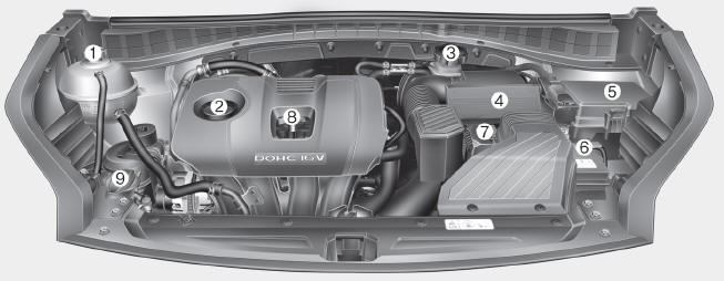 Compartimento do motor